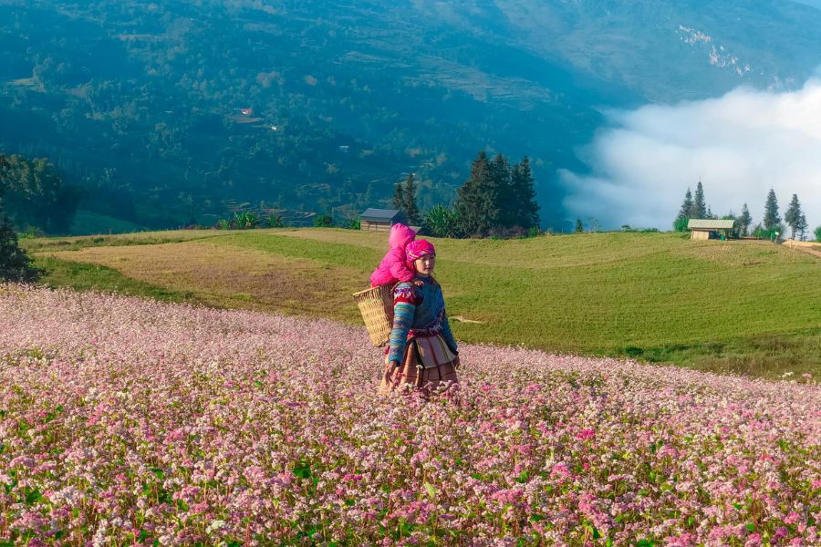 Authentic Ethnic Culture