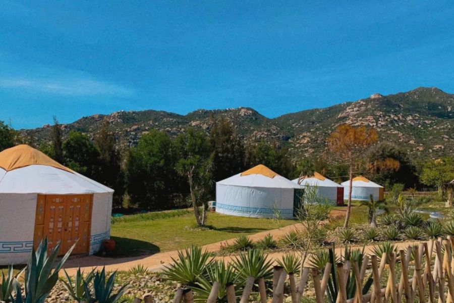 The Mongolian Village in Ninh Thuan (Tanyoli) is exactly where you should be