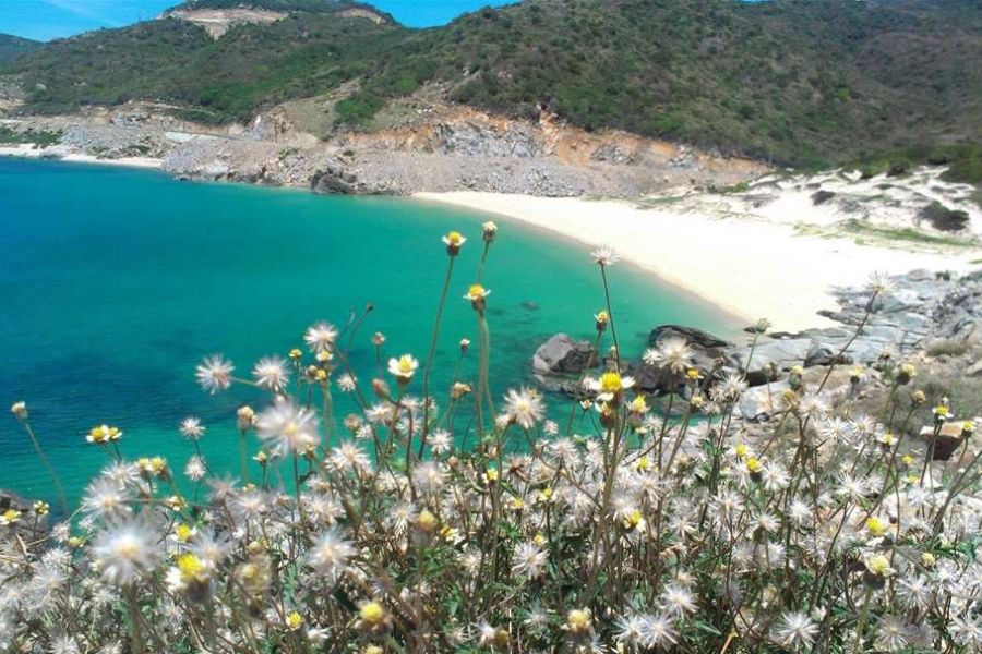 Majestic natural scenery