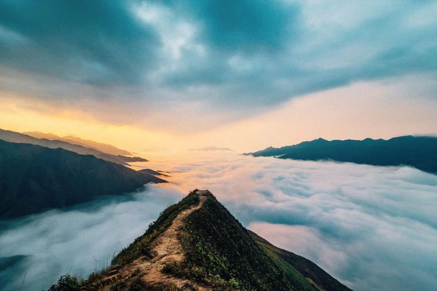 Ta Xua Dinosaur Spine