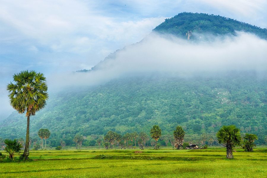 An Overview of Cam Mountain