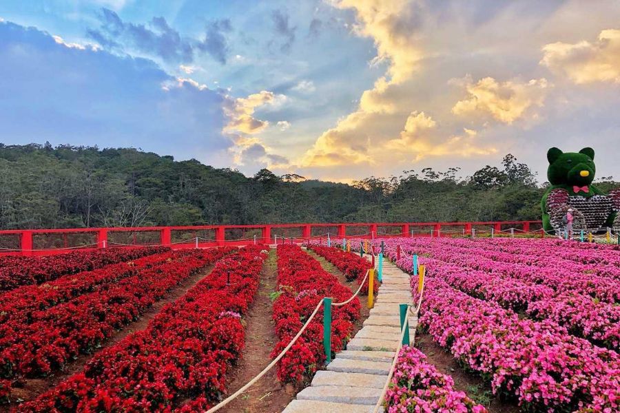 Known as the “city of flowers,” Da Lat offers cool, romantic charm during the holiday.