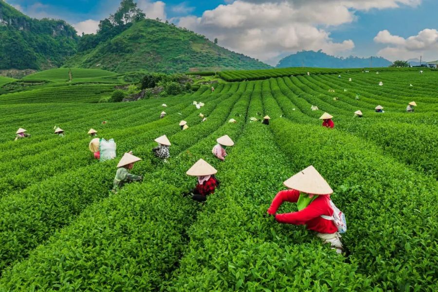 Reducing Social Issues