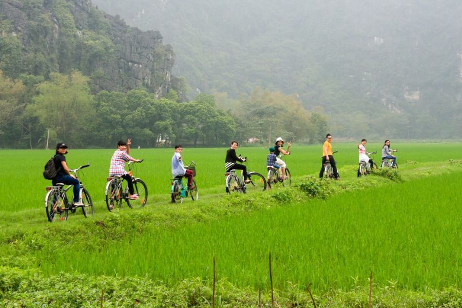 Environmental Protection