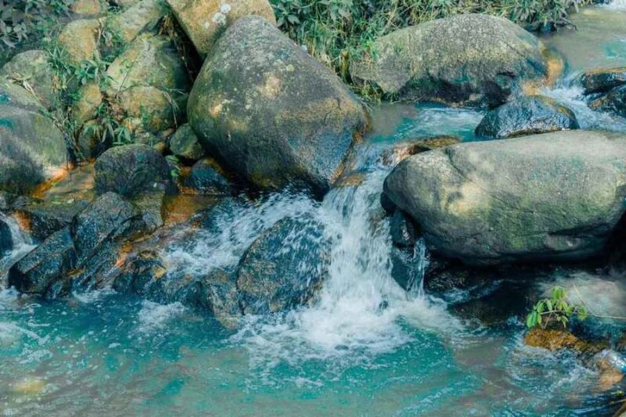 Suoi Da (Stone Stream) in Vung Tau is the perfect getaway to immerse yourself in fresh nature