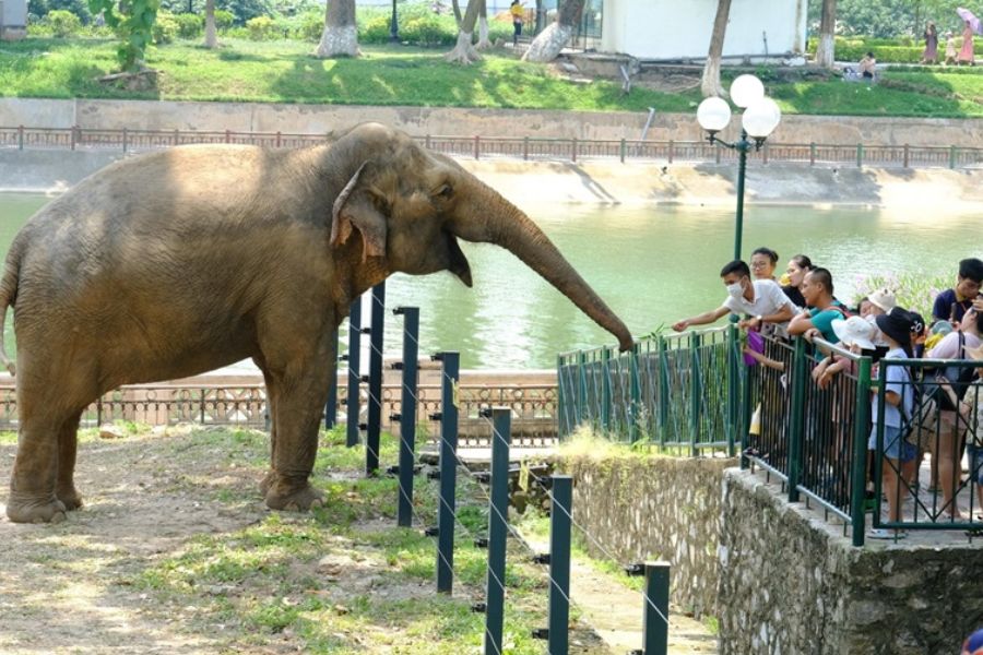 Tips for Visiting Thu Le Park