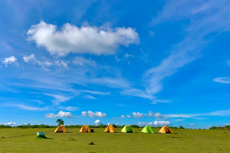 Travel Tips for Visiting Bui Hui Grassland