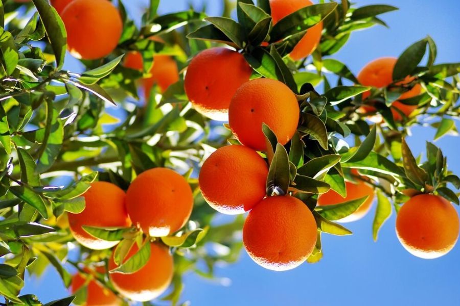 The Best Time to Visit Southern Vietnam