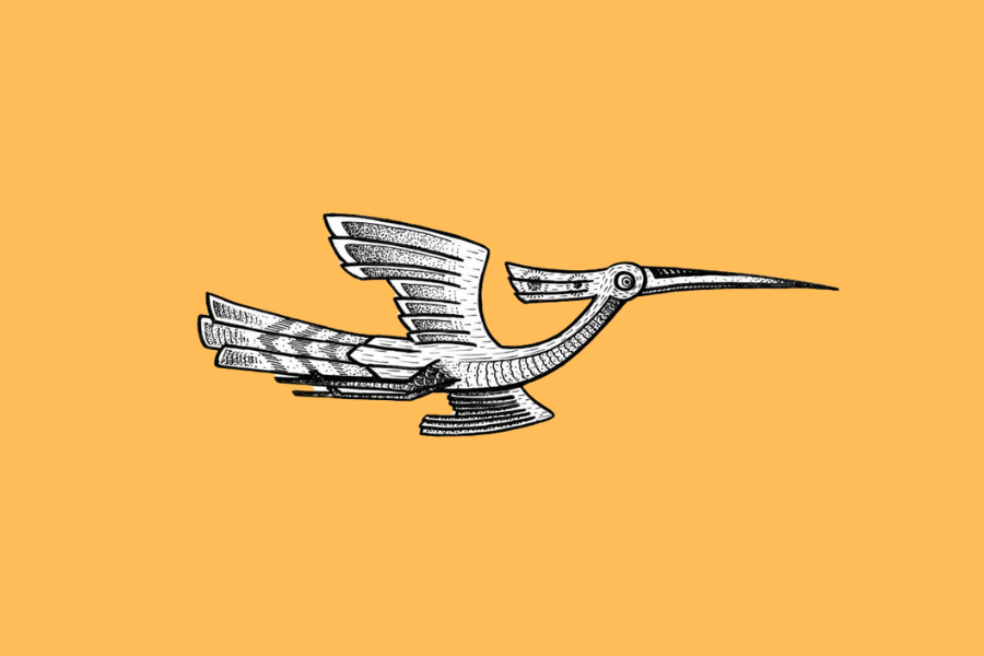 The Lac bird stands as one of the most distinctive symbols of Vietnam