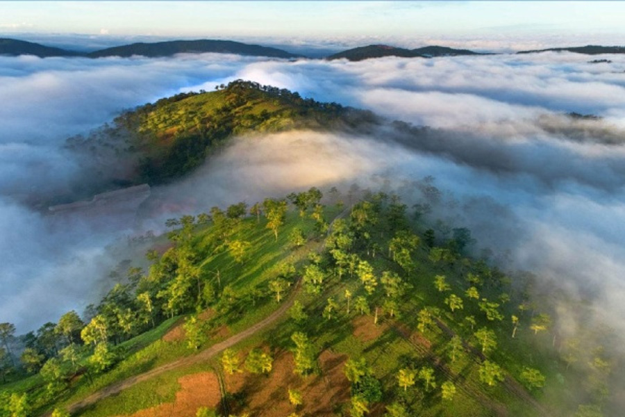 clouds on the hill