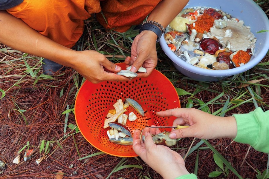 Da Lat’s prime mushroom season runs from May to October