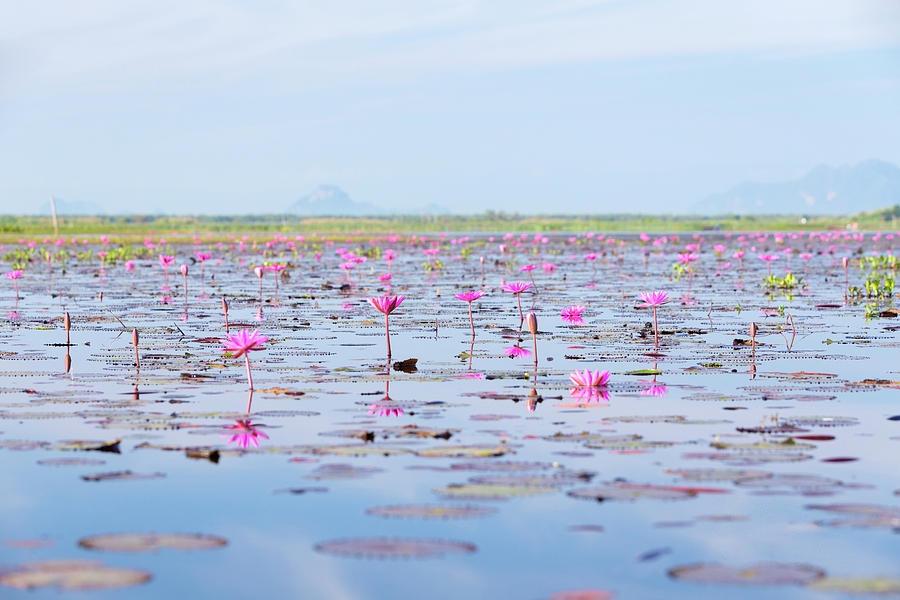 Phatthalung Hidden Gem of Thailand