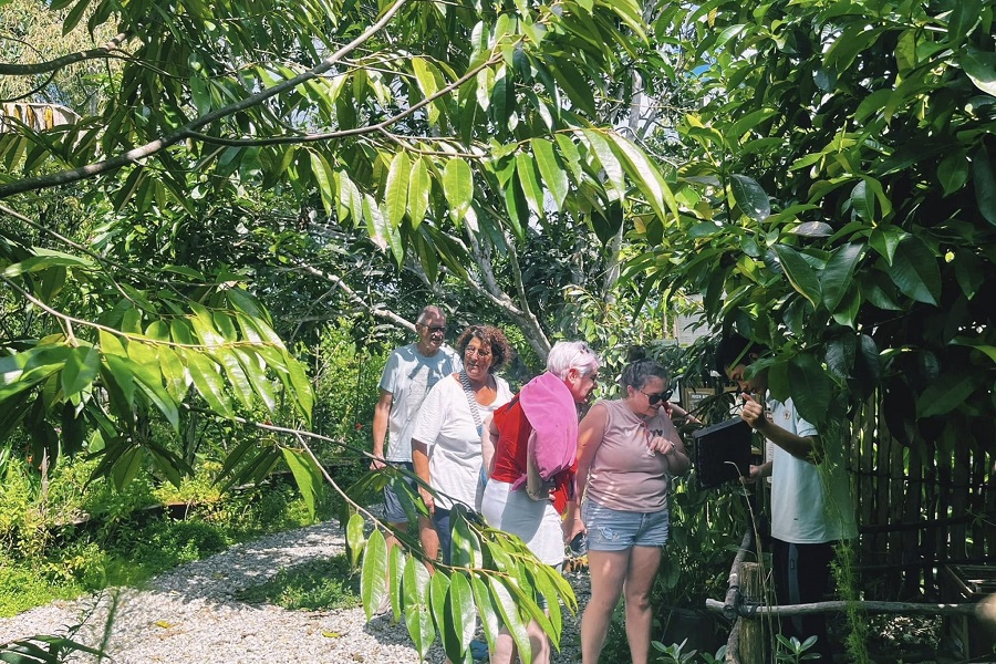 Visit Phu Quoc Bee Farm to learn about sustainable beekeeping practices
