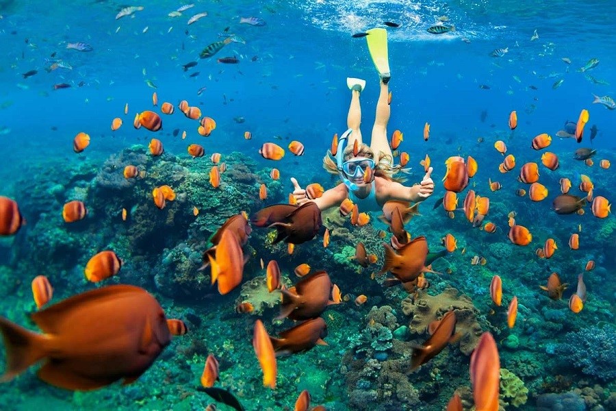 Scuba diving to explore marine life under the turquoise water