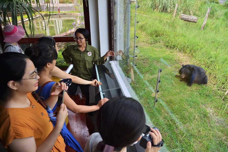 There are two exciting ways to observe the bears at Bear Sanctuary Ninh Binh