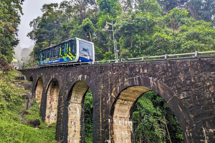 You can get on the Penang Hill Railway to explore the rainforest
