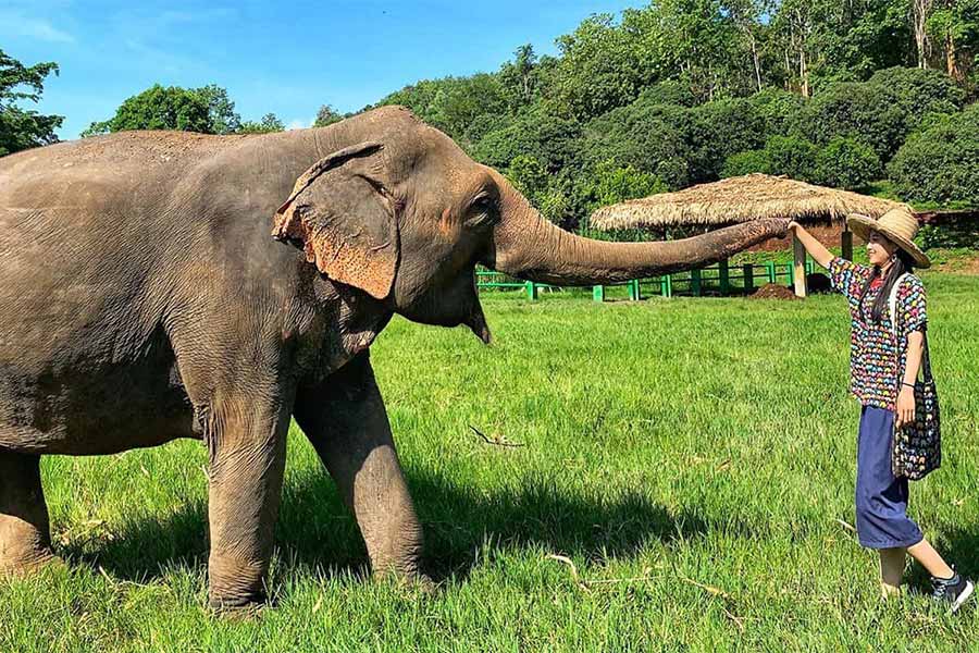 Kanta Elephant Sanctuary