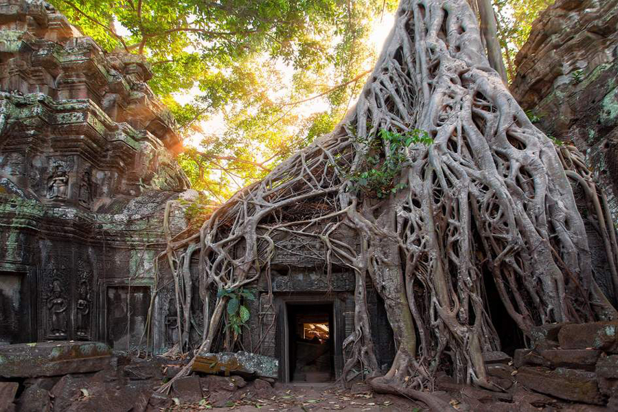 Angkor Wat temple 