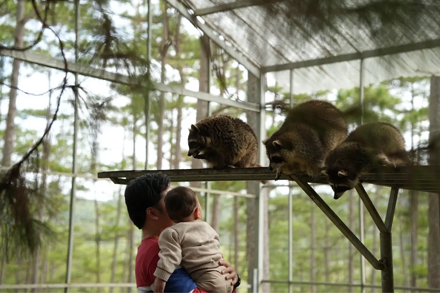 Visitors can interact with animals in a friendly setting