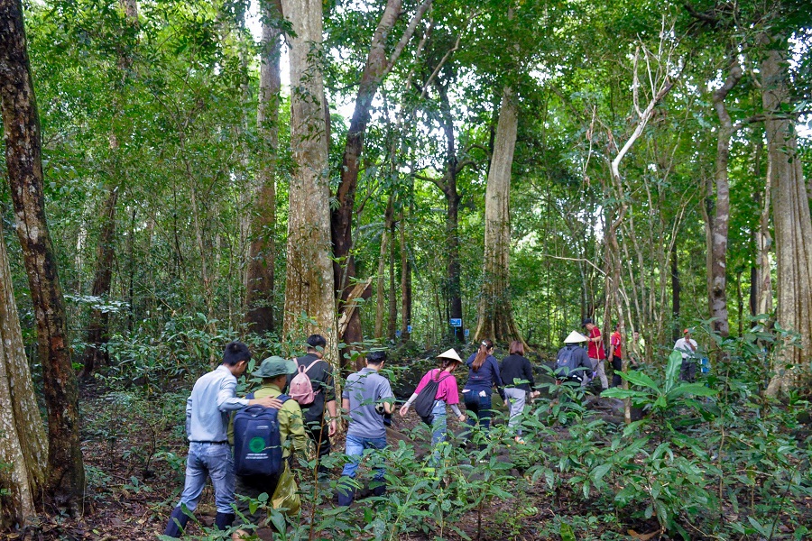 Cat Tien National Park is among the most biologically diverse areas in Vietnam