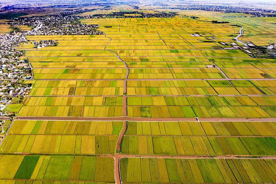 Though rice fields in Vietnam are picturesque in every season, their golden form is truly unmatched