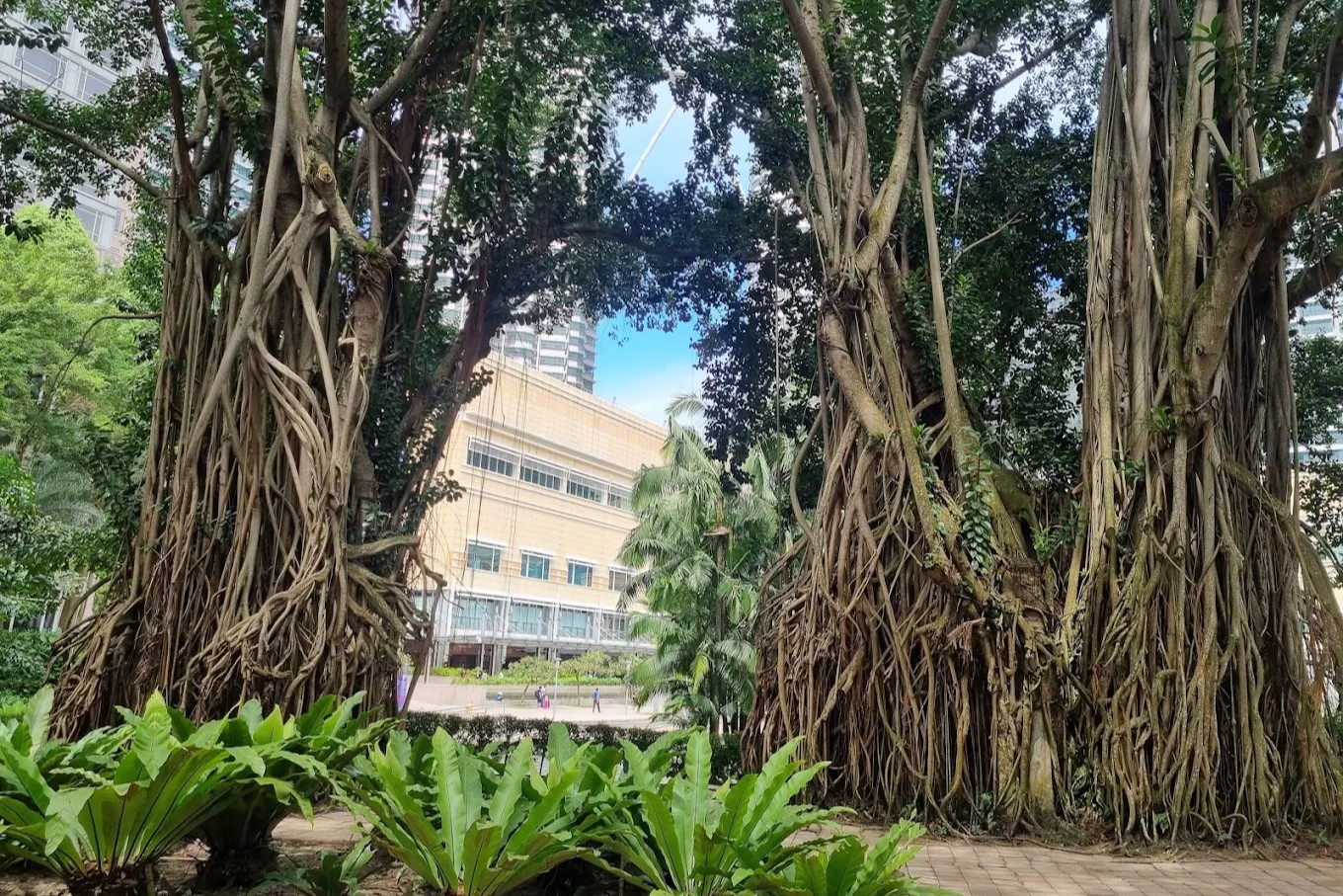 3 day itinerary Kuala Lumpur KLCC Park