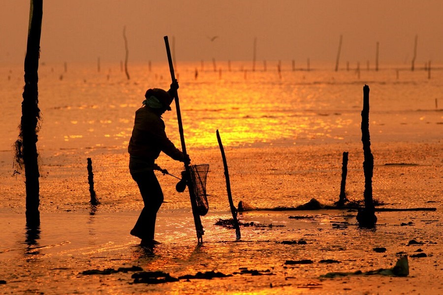 The locals catch clams on the shore