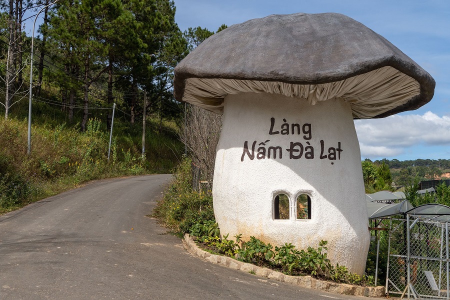 Dalat Mushroom Village also provides mushroom foraging experiences