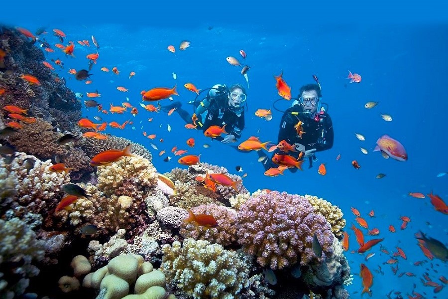 Scuba diving is a must-try experience in Lan Ha Bay