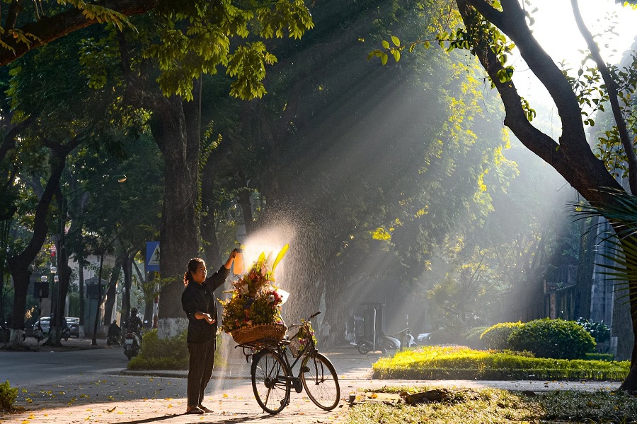 A bicycle filled with flowers on Phan Dinh Phung Street