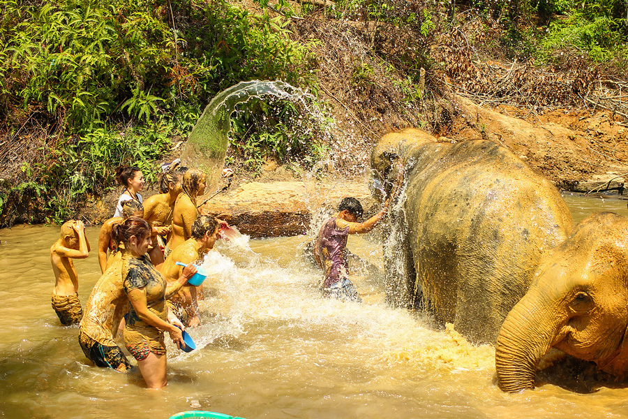 Mud Spa and Bathing Sessions 