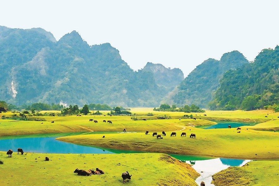 The peaceful space in Dong Lam Grassland