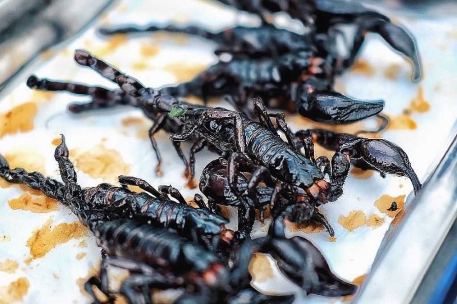 The next level of food daring in Thailand is Scorpions 