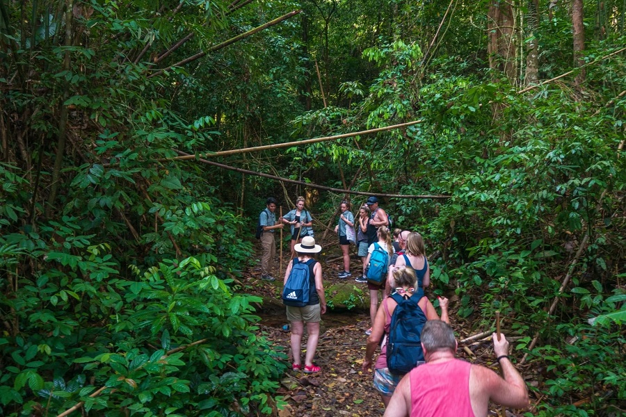 Jungle trekking in Khao Sok National Park