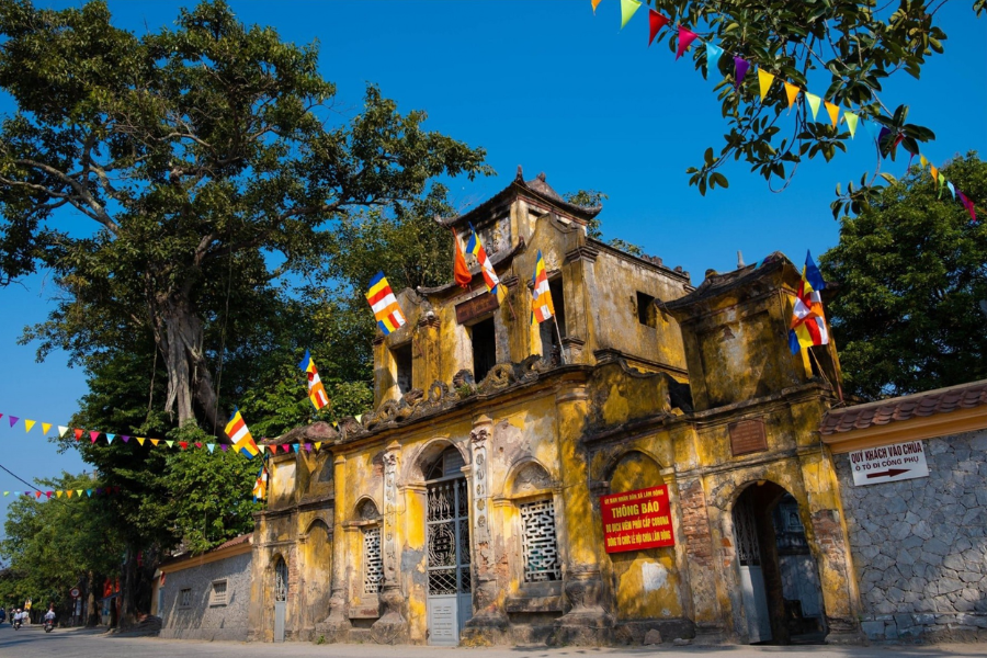 What Makes Thuy Nguyen Special?