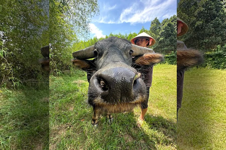 Donald Trump at&nbsp;The Duck Stop Phong Nha
