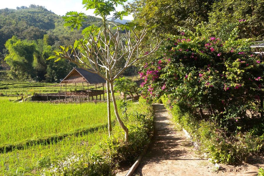 Day trips from Luang Prabang are well worth trying