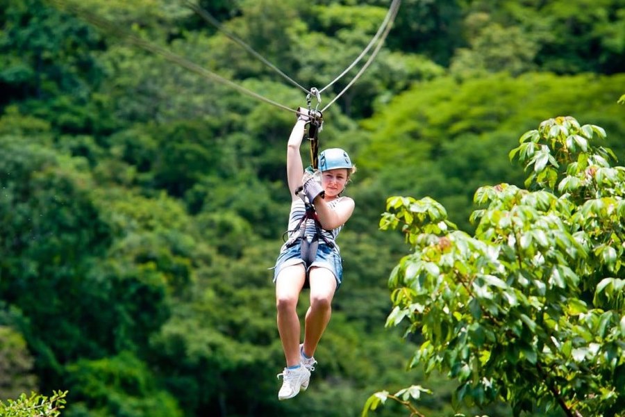  Ziplining through the rainforest 