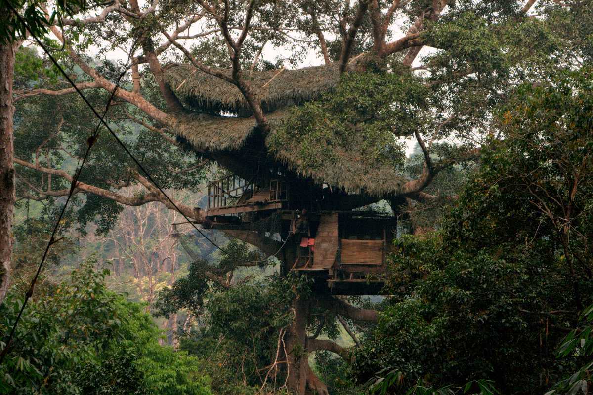 Tree House in Bokeo Nature Reserve