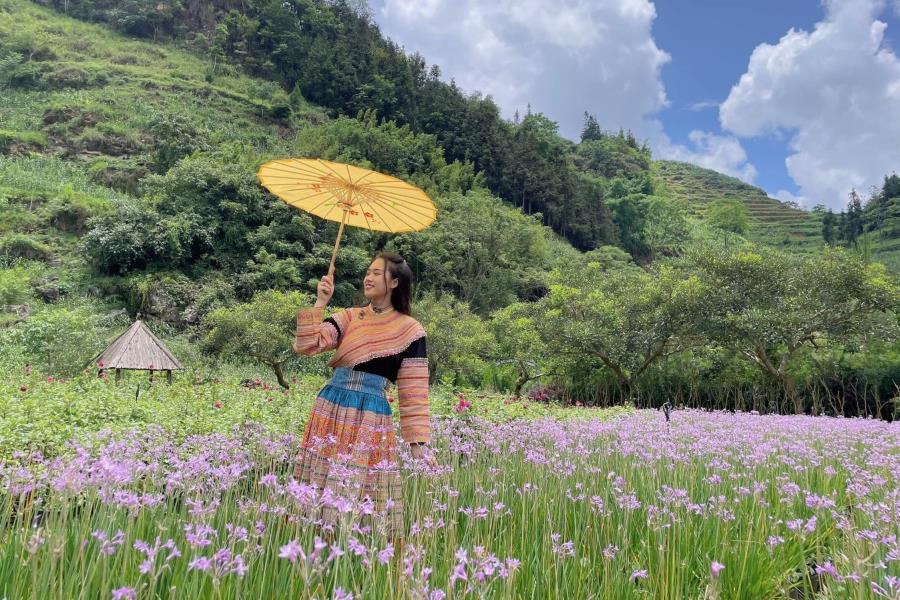 Bac Ha Flower Valley
