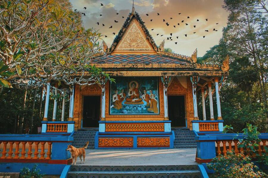 Bats fluttering over the pagoda roof