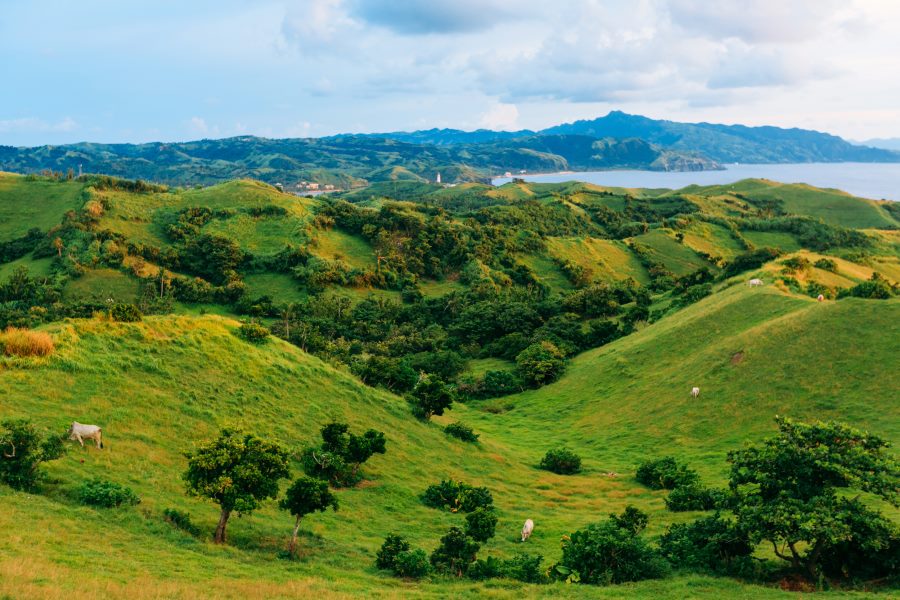 The rolling green hills stretching all the way to the horizon are one of Batanes' iconic features