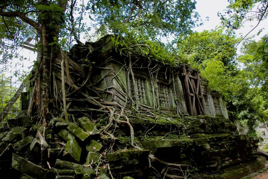 Beng Mealea is an enchanting temple from the 12th century in Cambodia