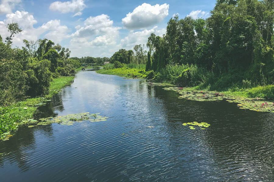 Floodwaters turn Tan Lap into a floating forest