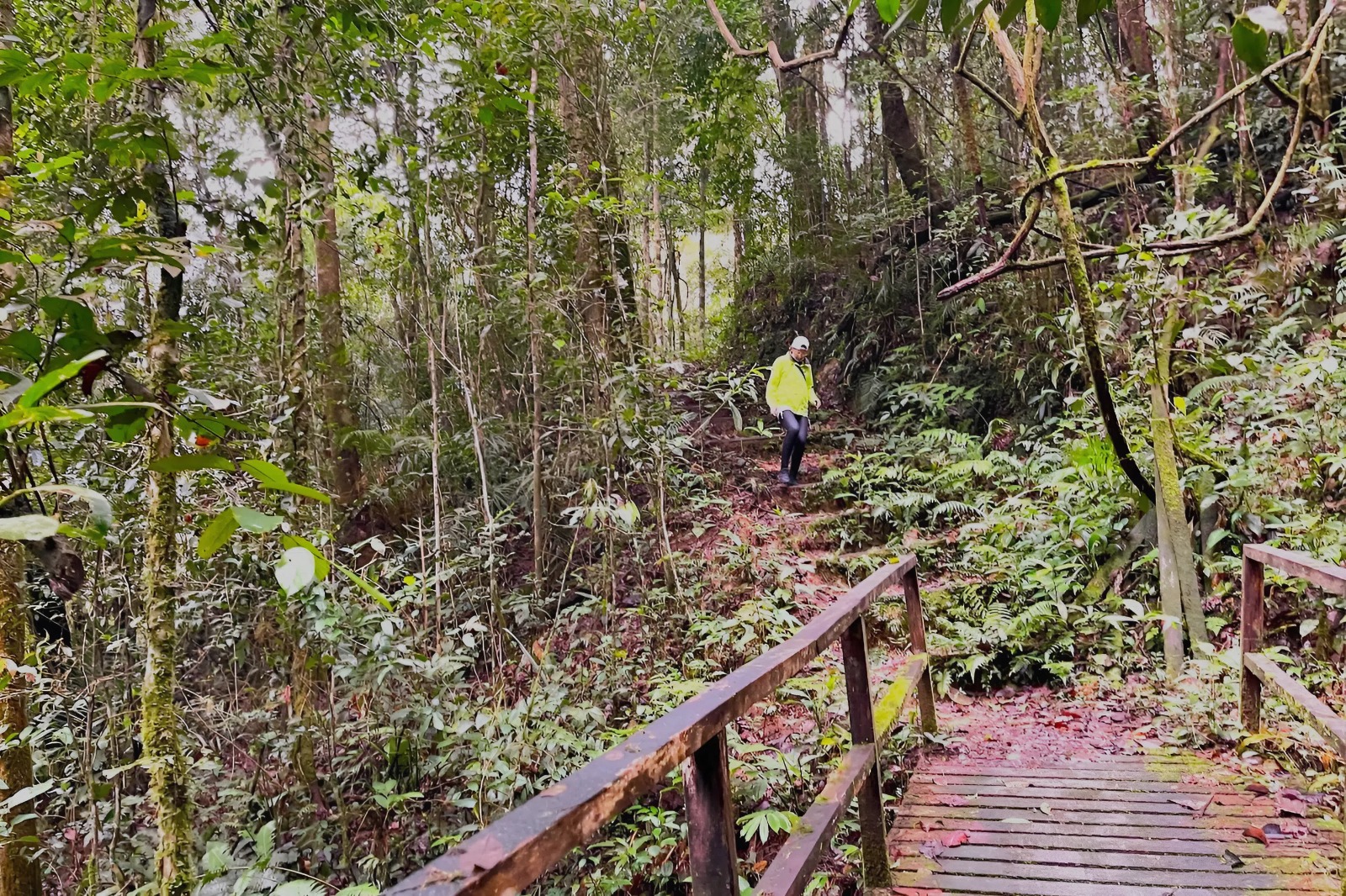 Kinabalu Park