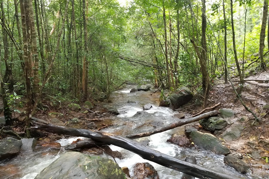 Tranh Stream in Phu Quoc 