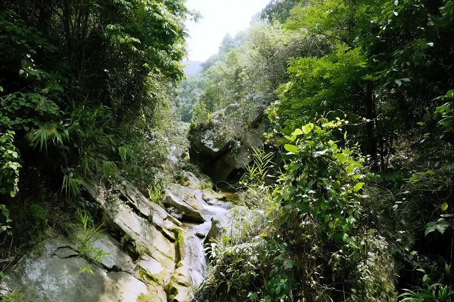 Na Khoang Waterfall flows gently into a clear emerald pool amid lush northern forests