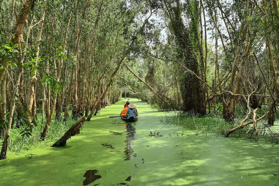 Explore all the beauty of the melaleuca forest by boat. Source: Hanoimoi