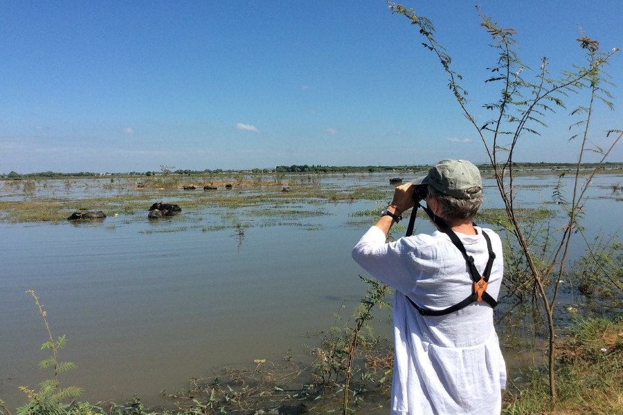 Some activities for tourists when visiting Boeng Peariang Bird Sanctuary