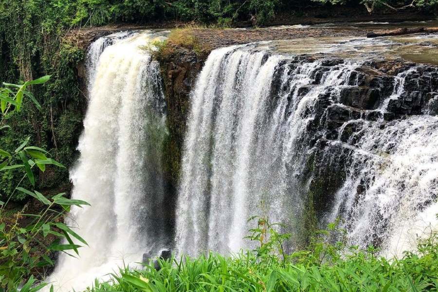 Surrounding the waterfalls, beautiful, dense tropical forests are rich with birds and wildlife